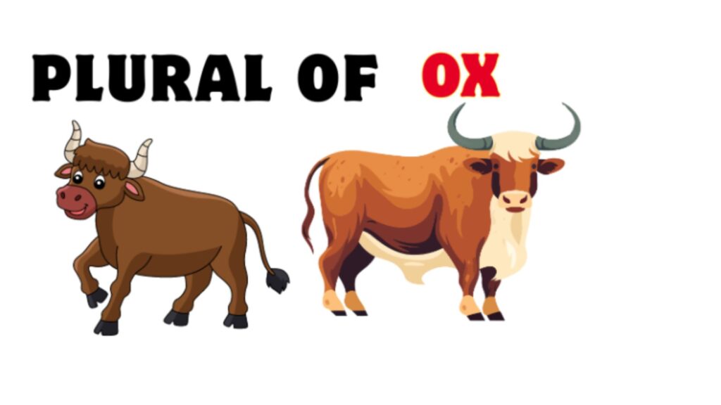 Plural of ‘Ox’