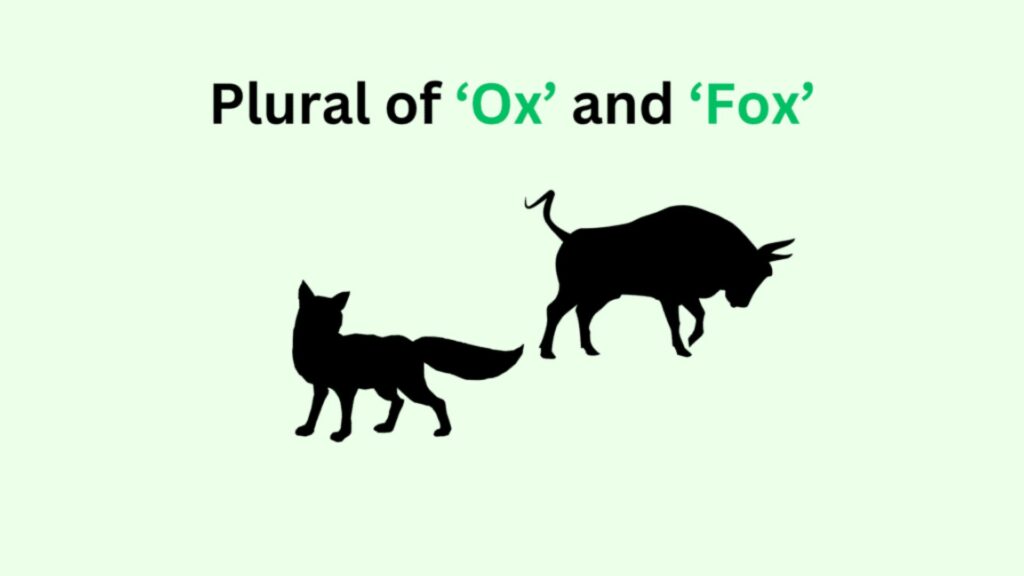 Plurals of ‘Ox’ and ‘Fox’