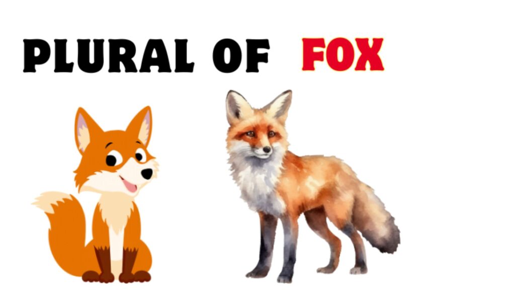 Plural of ‘Fox’
