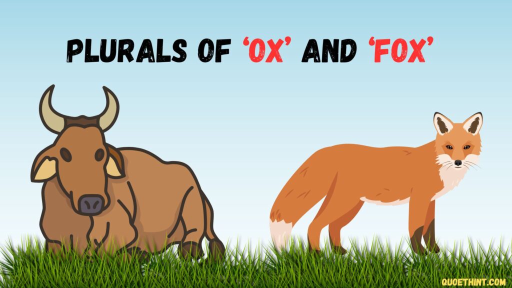 Plurals of ‘Ox’ and ‘Fox’