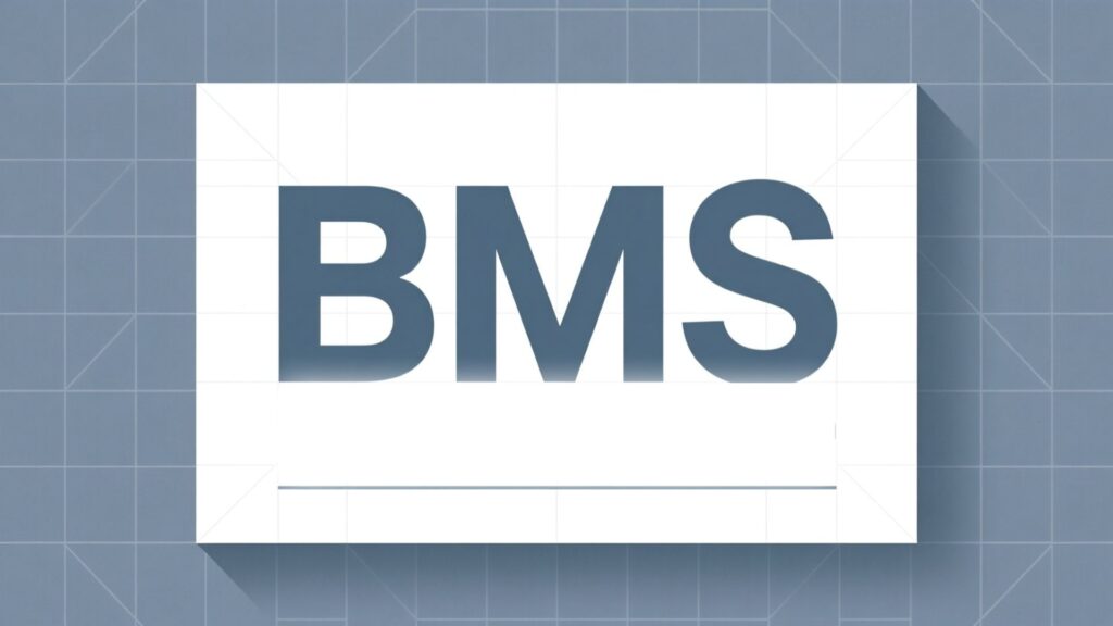 BMS Meaning in Text