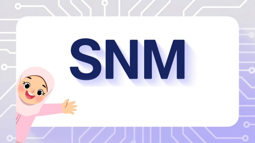 SNM Meaning in Text