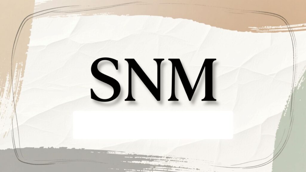 SNM Meaning in Text
