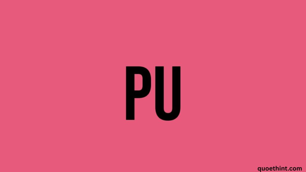 PU Meaning in Text